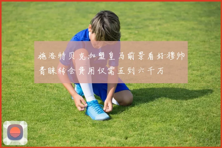施洛特贝克加盟皇马前景看好穆帅青睐转会费用仅需五到六千万