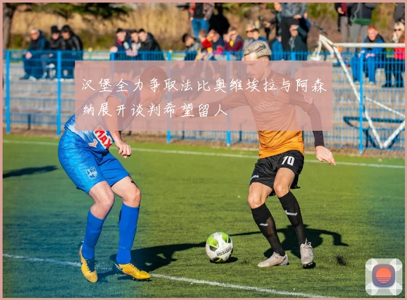 汉堡全力争取法比奥维埃拉与阿森纳展开谈判希望留人