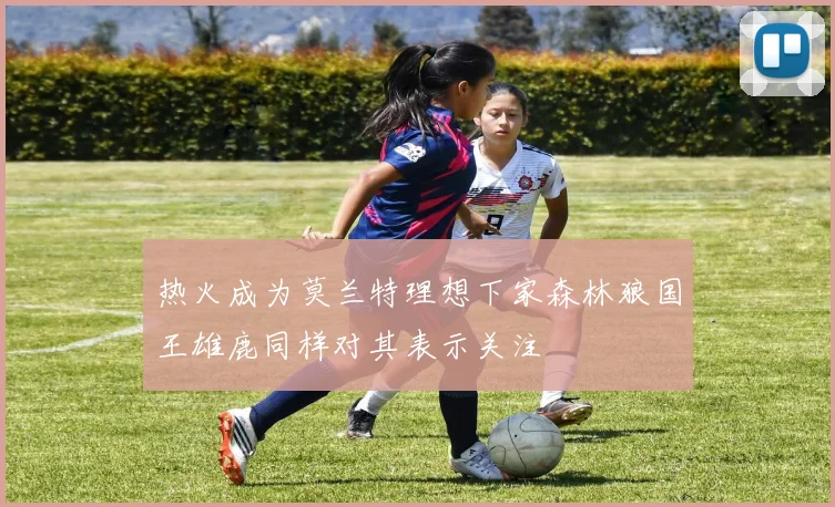 热火成为莫兰特理想下家森林狼国王雄鹿同样对其表示关注