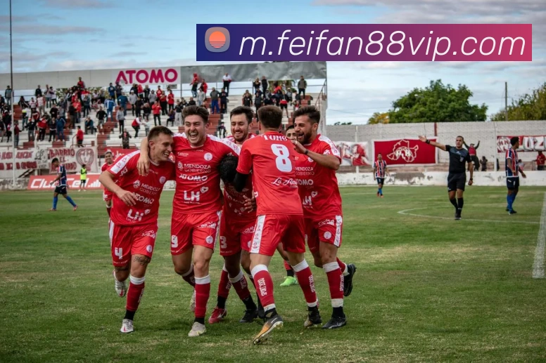 非凡体育平台生态图