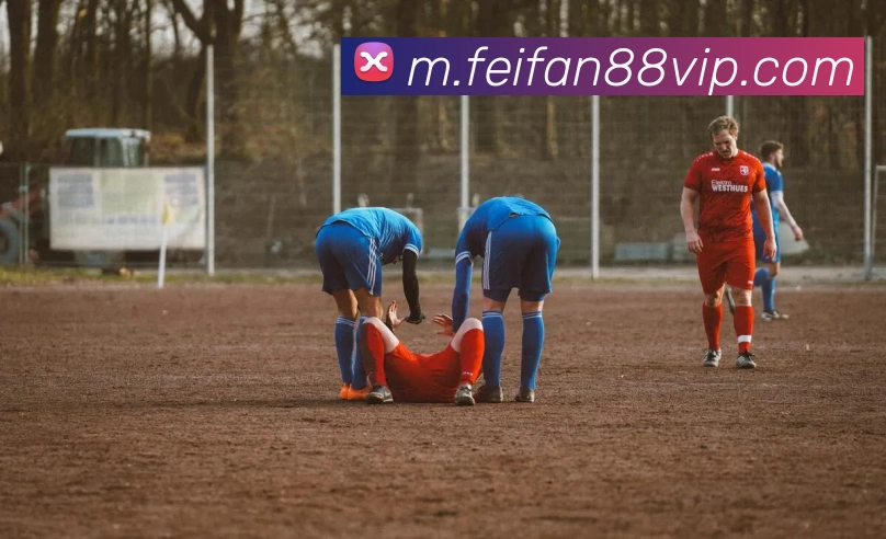 非凡体育APP 封面图